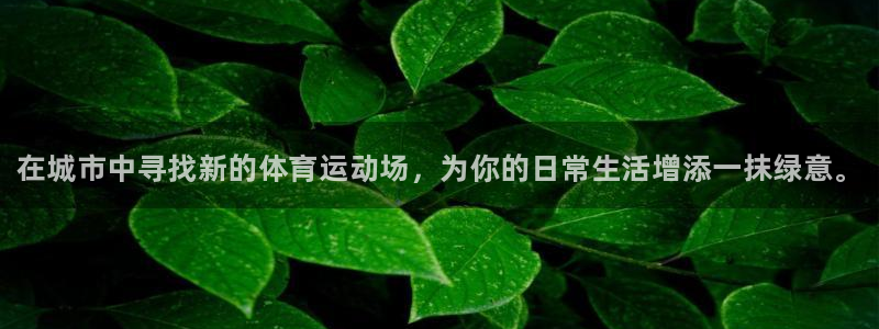 凯发官方正版app神州：在城市中寻找新的体育运动场，