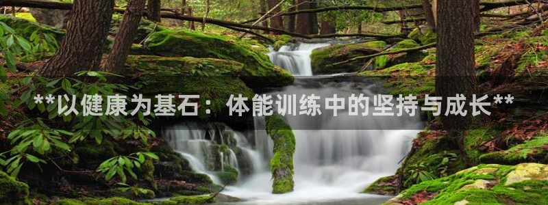 凯发官方正版app娱乐平台：**以健康为基石：体能训