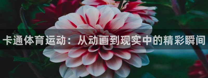 凯发官网下载平台APP：卡通体育运动：从动画到现实中