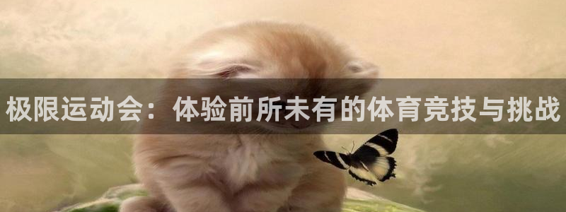凯发官方正版app娱乐平台：极限运动会：体验前所未有