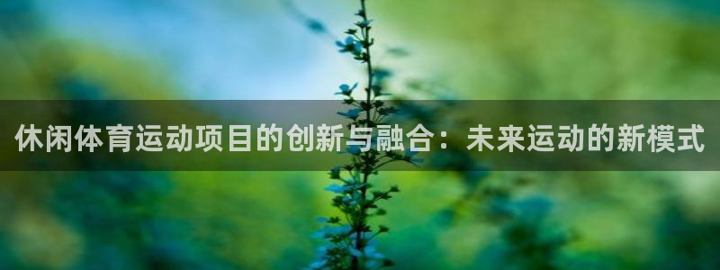 凯发官方正版app代理：休闲体育运动项目的创新与融合