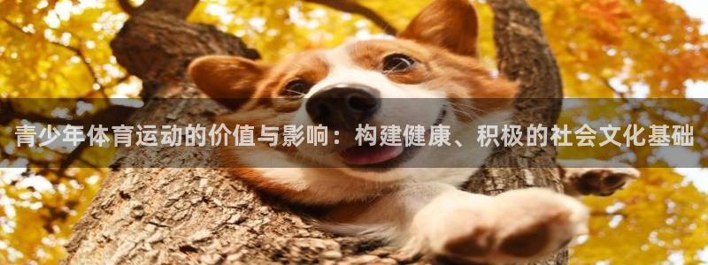 凯发官方正版app代理：青少年体育运动的价值与影响：