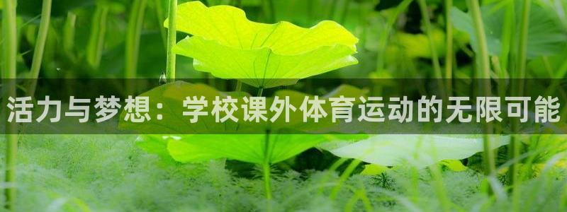 凯发官网下载娱乐：活力与梦想：学校课外体育运动的无限