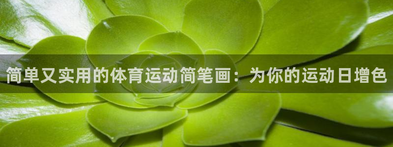 凯发官网下载平台假的吗是真的吗吗：简单又实用的体育运