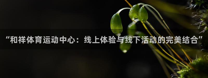 凯发官网下载招商电话地址：“和祥体育运动中心：线上体