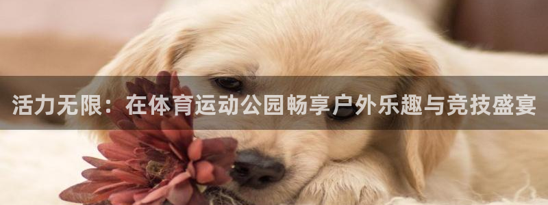 凯发官网下载招商电话地址是多少：活力无限：在体育运动
