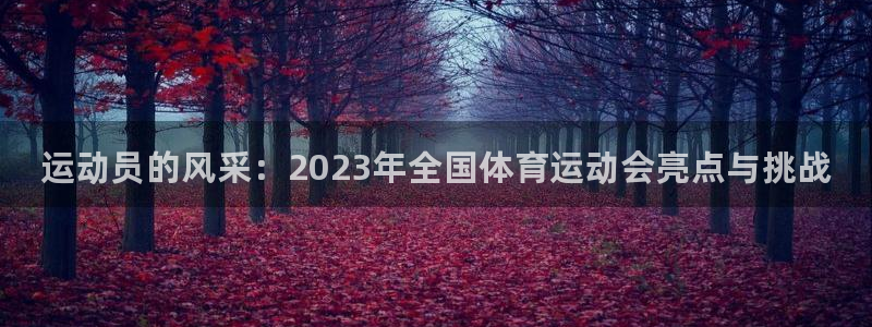 凯发官方正版app代理：运动员的风采：2023年全国