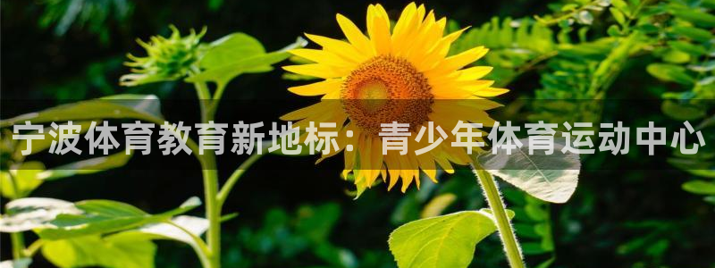凯发官网下载平台假的吗是真的吗吗