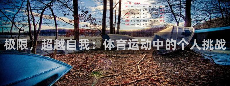 凯发官方正版app集团简介：极限，超越自我：体育运动中的个人