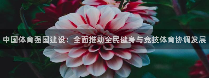 凯发官网下载：中国体育强国建设：全面推动全民健身与竞技体育协