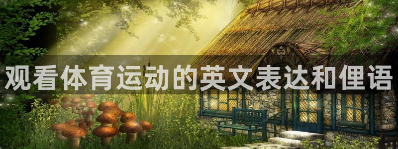 凯发官方正版app娱乐平台：观看体育运动的英文表达和俚语