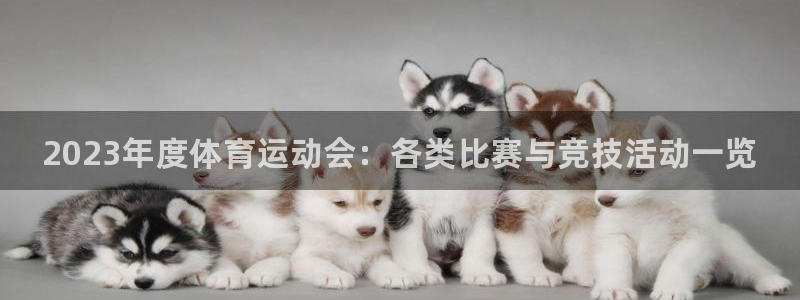 凯发官网下载平台注册流程图：2023年度体育运动会：各类比赛