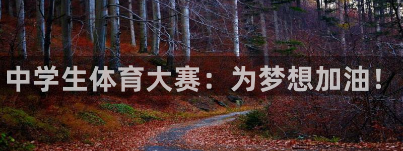 凯发官方正版app娱乐首页官网下载：中学生体育大赛：为梦想加