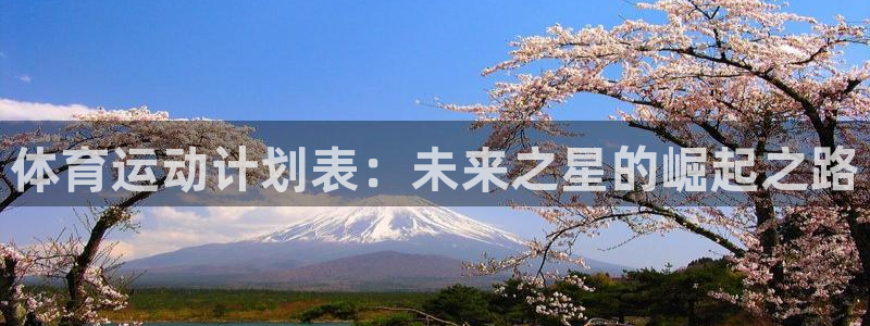 凯发官网下载招商电话号码查询：体育运动计划表：未来之