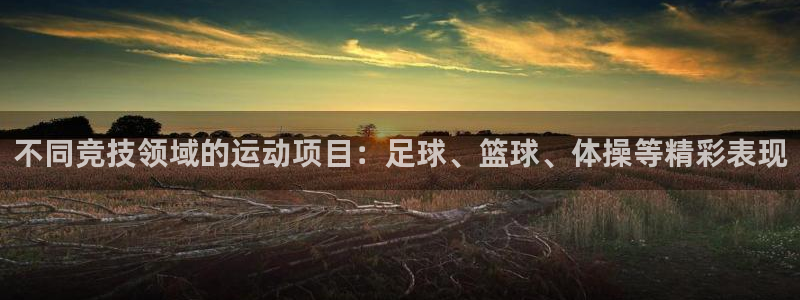 凯发官方正版app娱乐是那个系列的台子：不同竞技领域的运动项