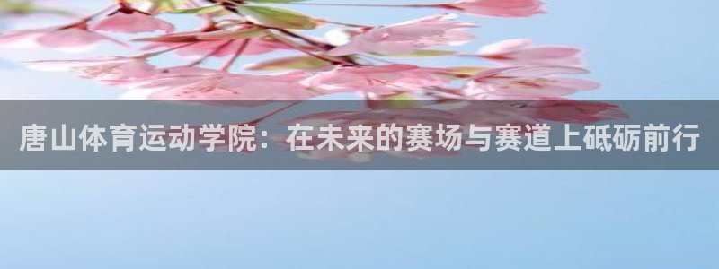 凯发官网下载平台注册要钱吗安全吗：唐山体育运动学院：