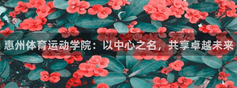 凯发官网下载平台注册流程视频：惠州体育运动学院：以中心之名，