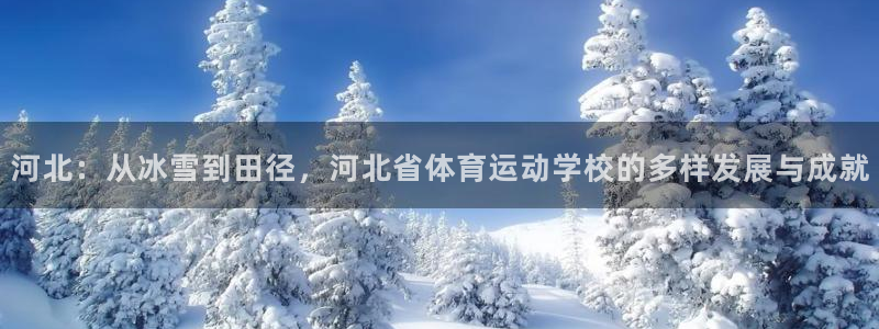 凯发官方正版app集团官网网址：河北：从冰雪到田径，河北省体