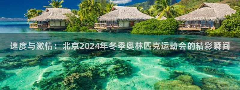 凯发官网下载招商电话：速度与激情：北京2024年冬季