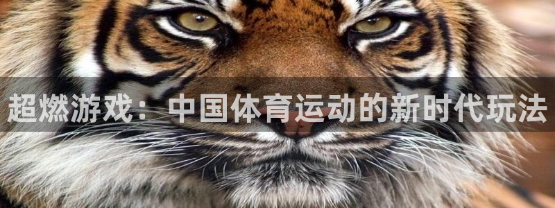 凯发官网下载平台注册流程图：超燃游戏：中国体育运动的新时代玩