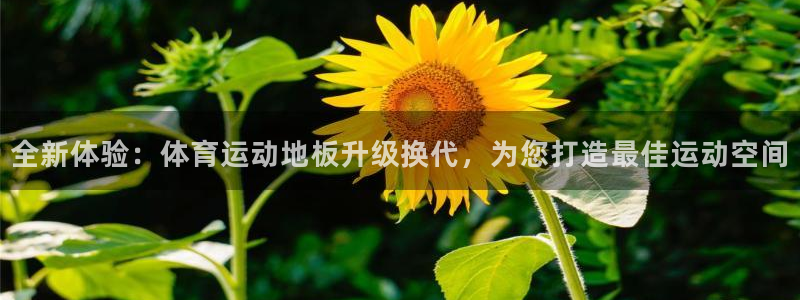 凯发官网下载招商电话号码是多少：全新体验：体育运动地板升级换