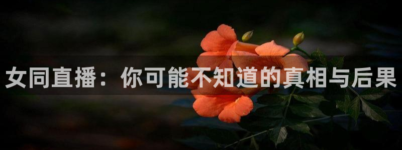 24直播足球在线直播