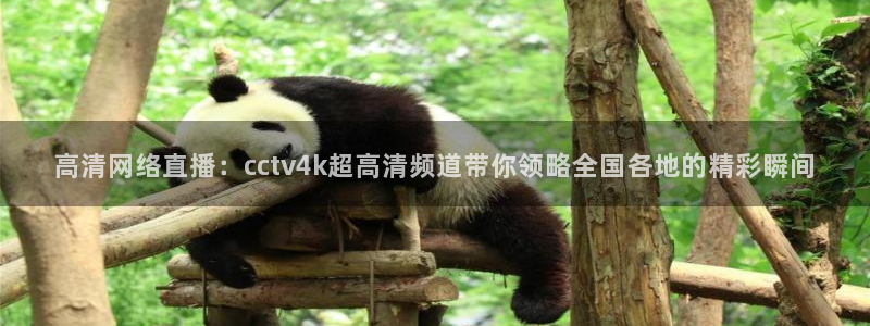 24直播网 nba直播