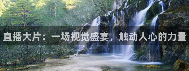 足球比赛24直播免费