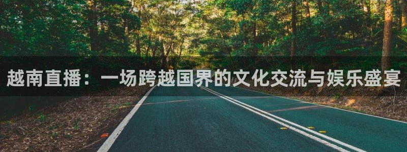 24直播直播：越南直播：一场跨越国界的文化交流与娱乐盛宴