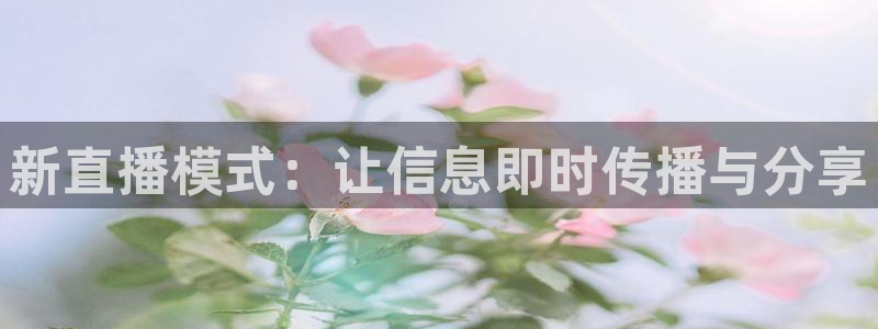 24直播网篮球