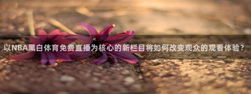 24直播吧 看球吧：以NBA黑白体育免费直播为核心的新栏目将如何改变观众的观看体验？